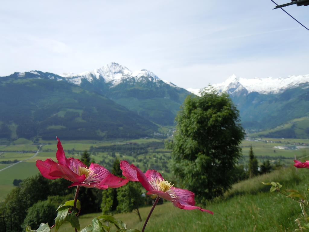 Apartamento Areithof Zell am See Habitación foto